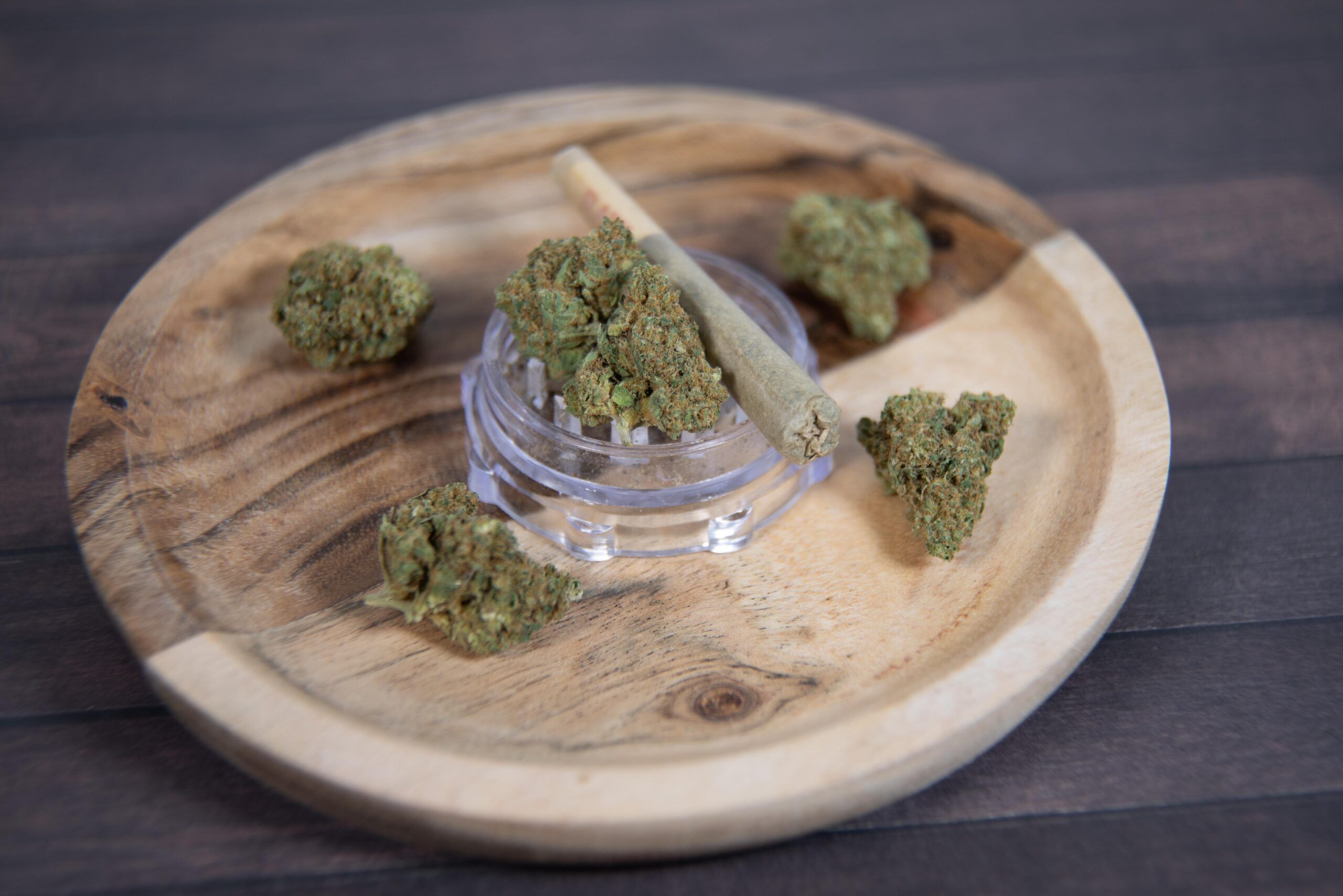 From Millennials to Seniors: The Shifting Face of Cannabis Use in Fort Myers